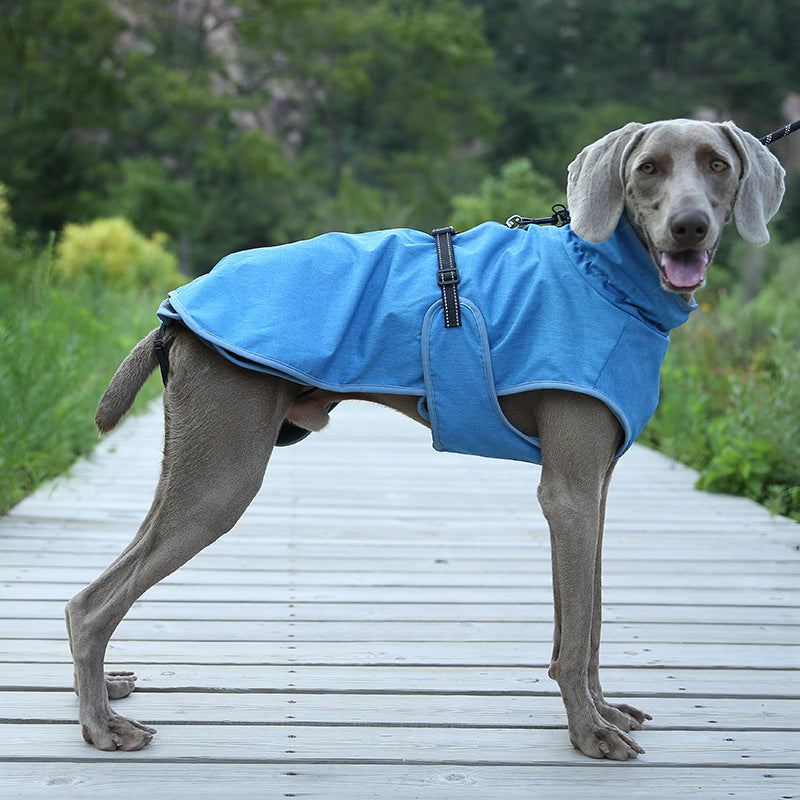 Protect Your Pet This Winter with the Pet Shell Jacket